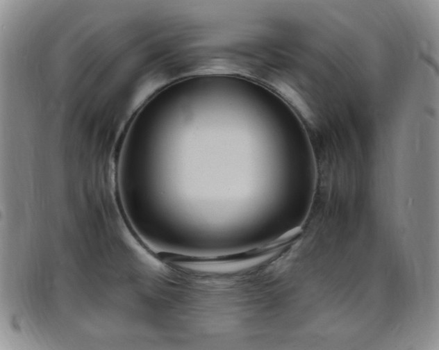 X0000099231476200805011126