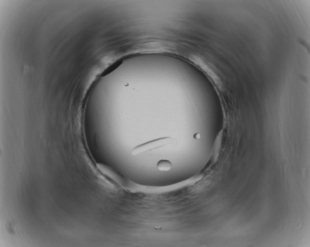 X0000099231477200805011126