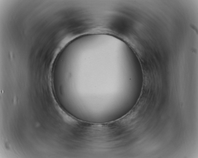 X0000099231478200805011126