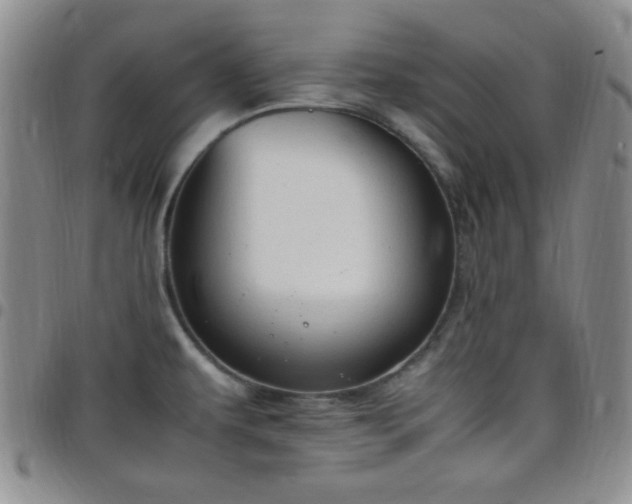 X0000099231479200805011126