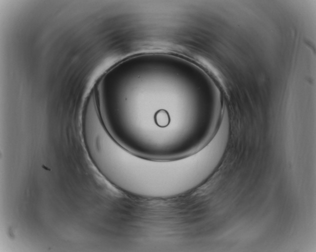 X0000099231480200805011126