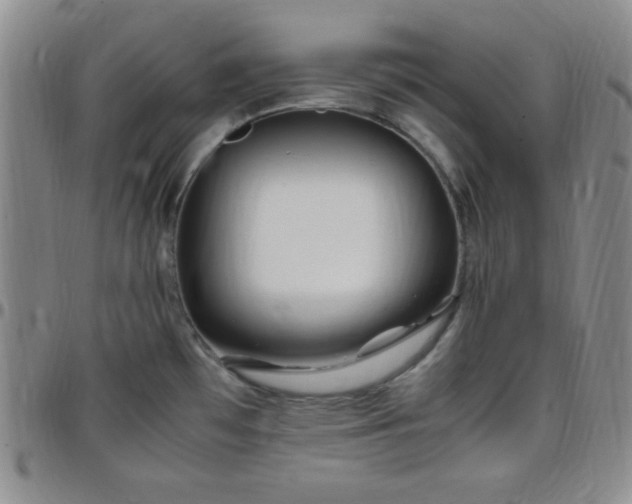 X0000099231481200805011126