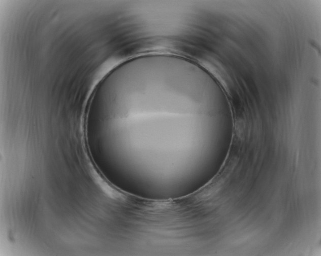 X0000099231482200805011126