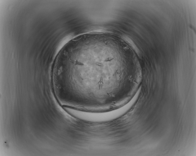 X0000099231483200805011126