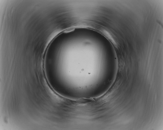 X0000099231484200805011126