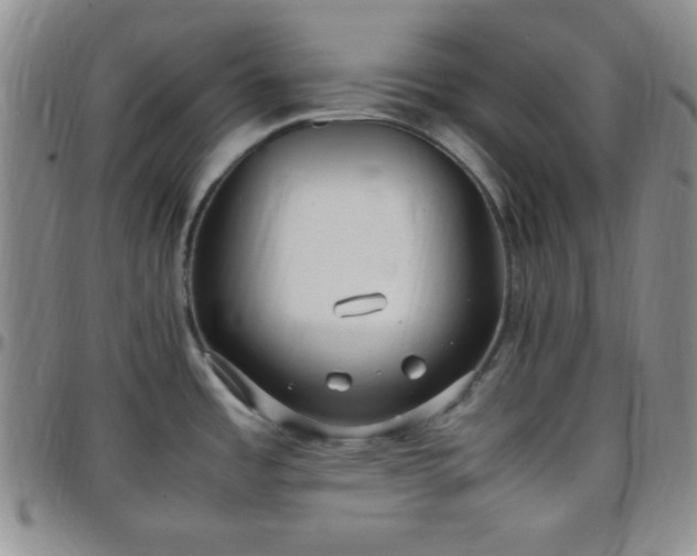 X0000099231485200805011126