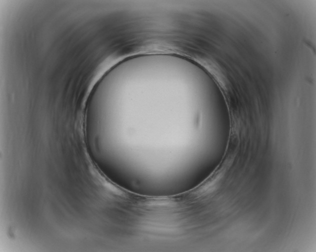 X0000099231486200805011126