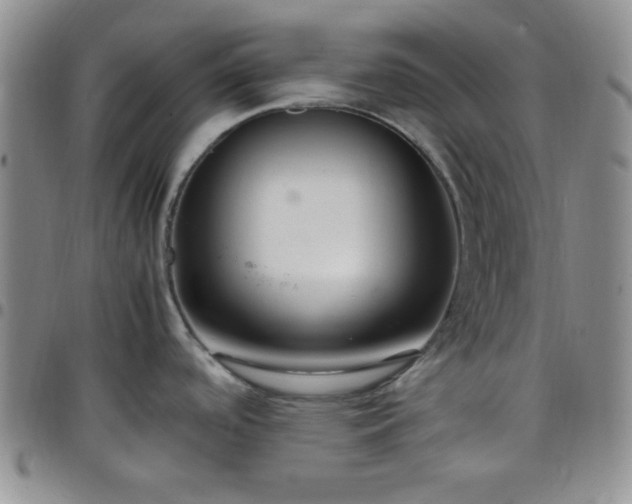 X0000099231488200805011126