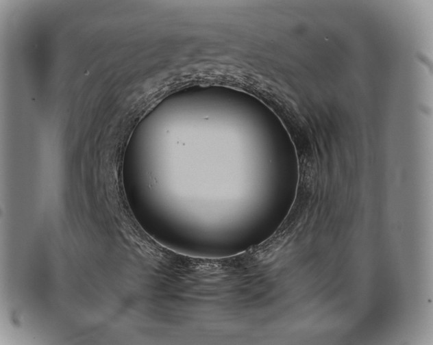 X0000099231489200805011125