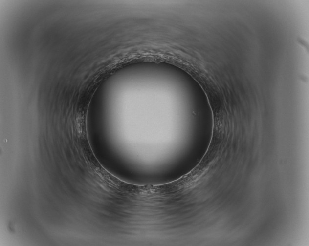 X0000099231490200805011125