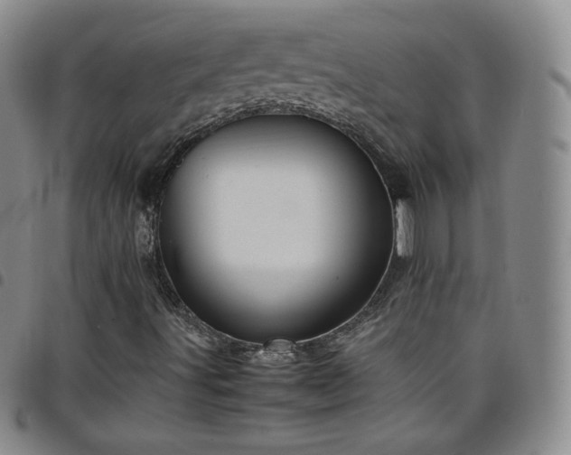 X0000099231491200805011125