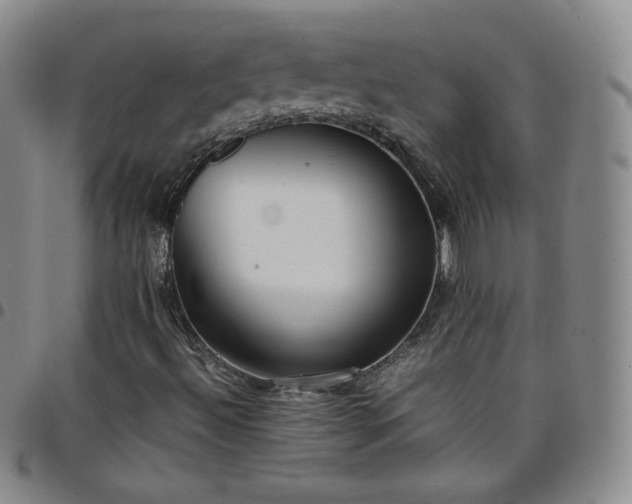 X0000099231492200805011125