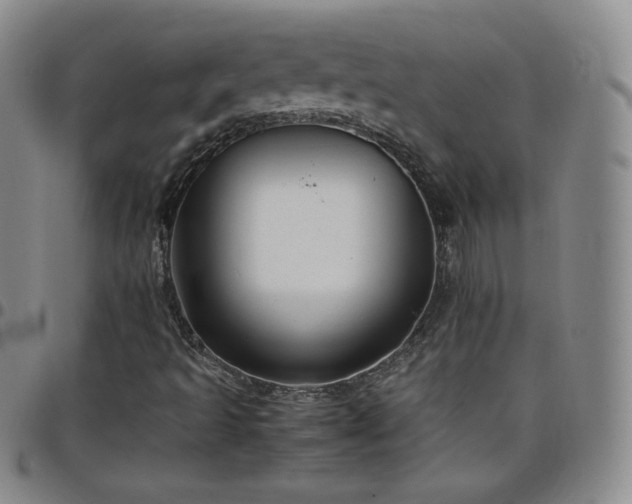 X0000099231493200805011125