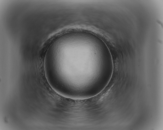 X0000099231494200805011125