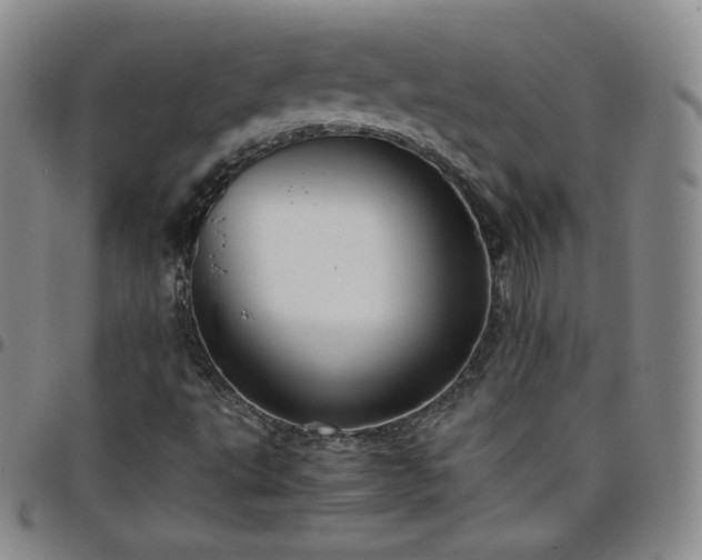 X0000099231495200805011125