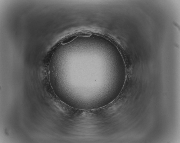 X0000099231496200805011125