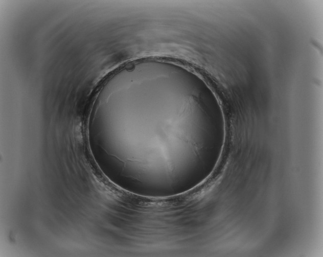 X0000099231497200805011125