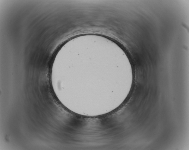 X0000099231498200805011125