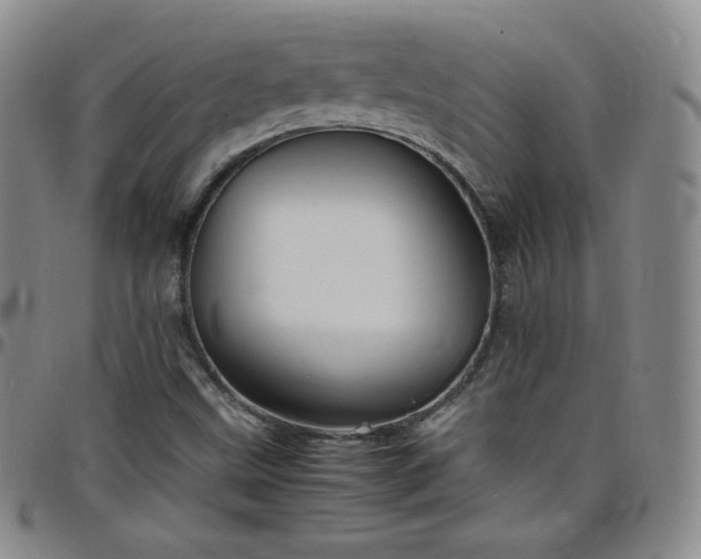 X0000099231499200805011125