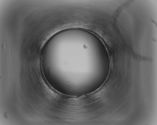 X0000099231500200805011125