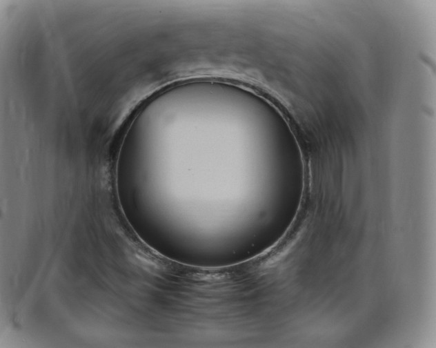 X0000099231501200805011125