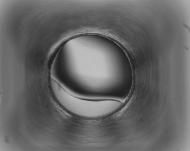 X0000099231502200805011125