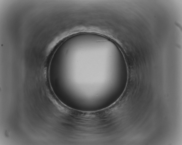 X0000099231503200805011125