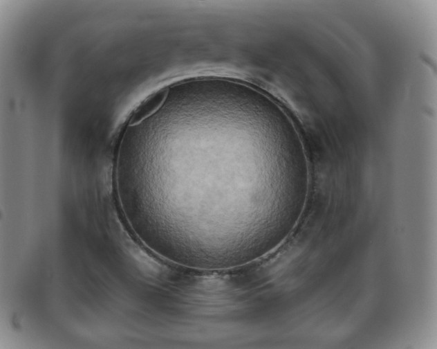 X0000099231504200805011126