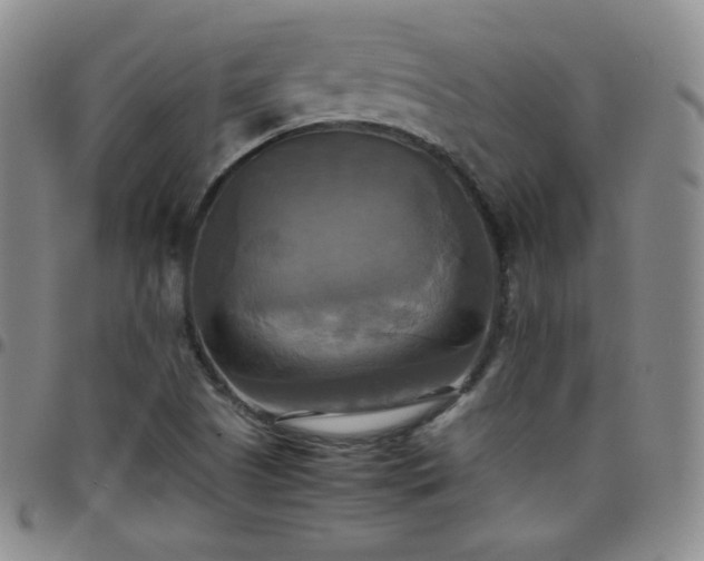 X0000099231505200805011126