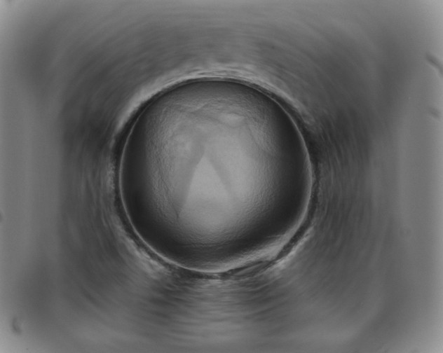 X0000099231506200805011126