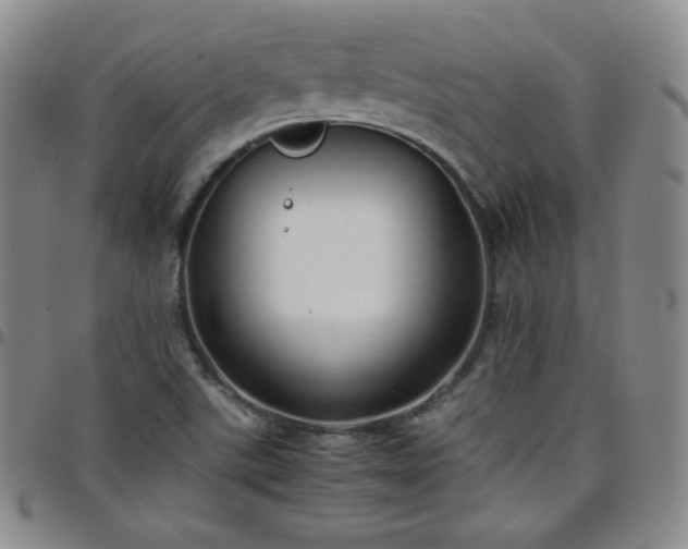 X0000099231507200805011126