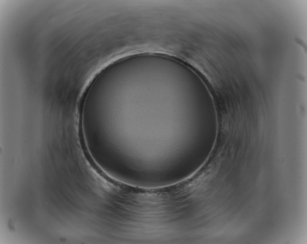 X0000099231508200805011126