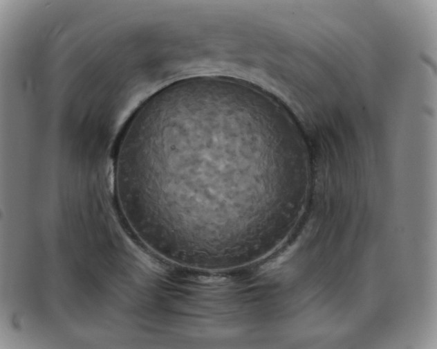 X0000099231509200805011126