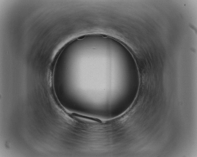 X0000099231510200805011126