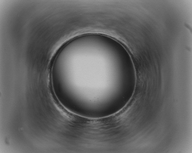 X0000099231511200805011126