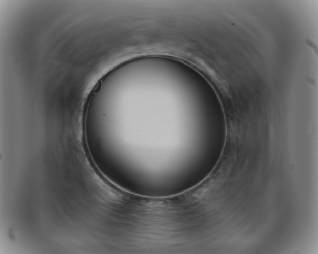 X0000099231512200805011126