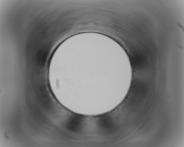 X0000099231514200805011126