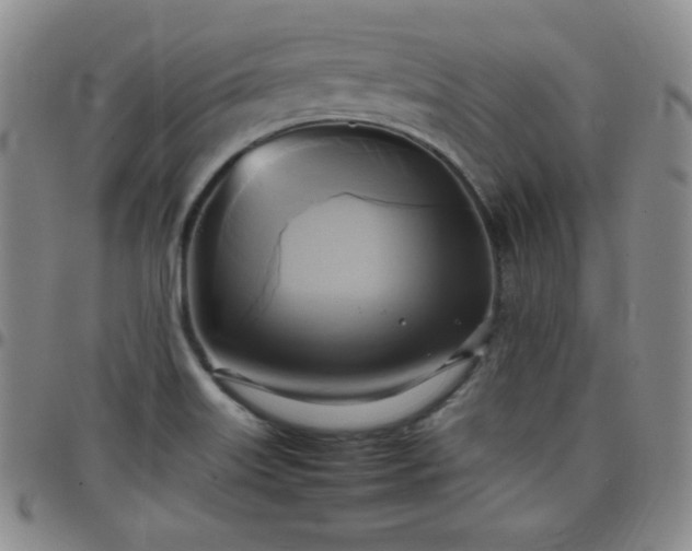 X0000099231515200805011126