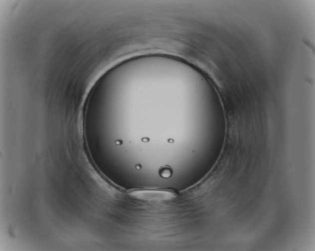 X0000099231516200805011126