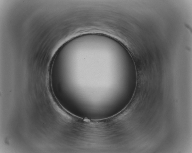 X0000099231518200805011126