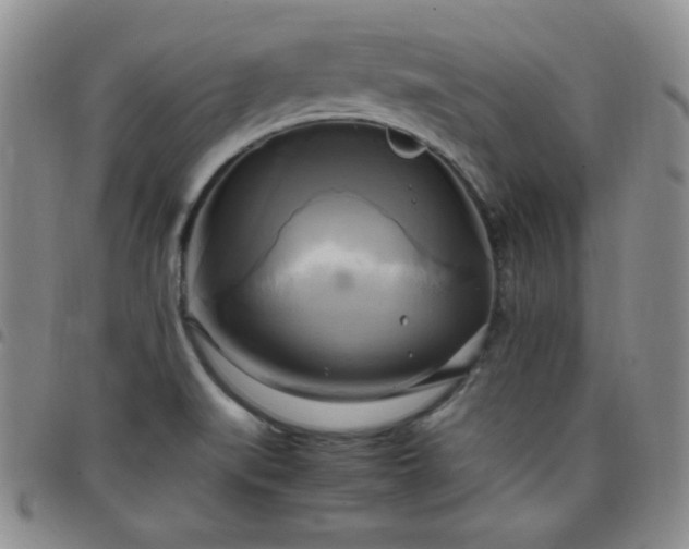 X0000099231519200805011126