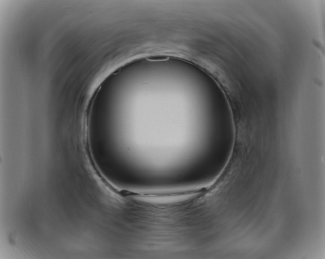 X0000099231520200805011126