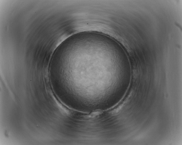 X0000099231521200805011126