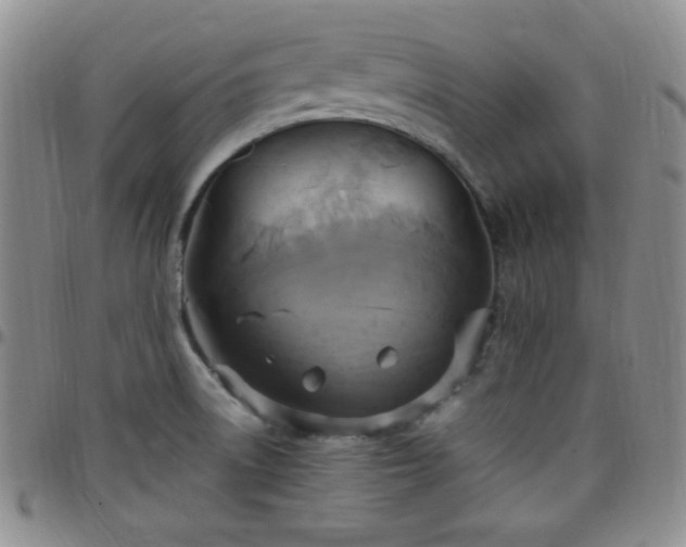 X0000099231522200805011126