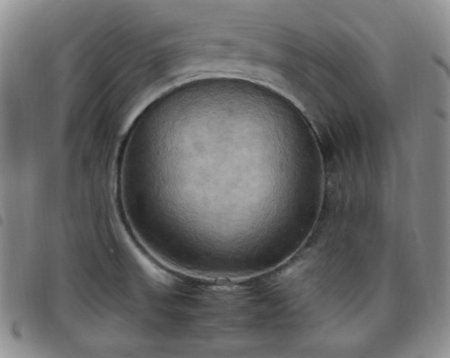 X0000099231523200805011126