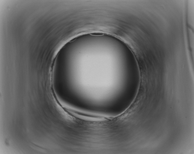 X0000099231524200805011126