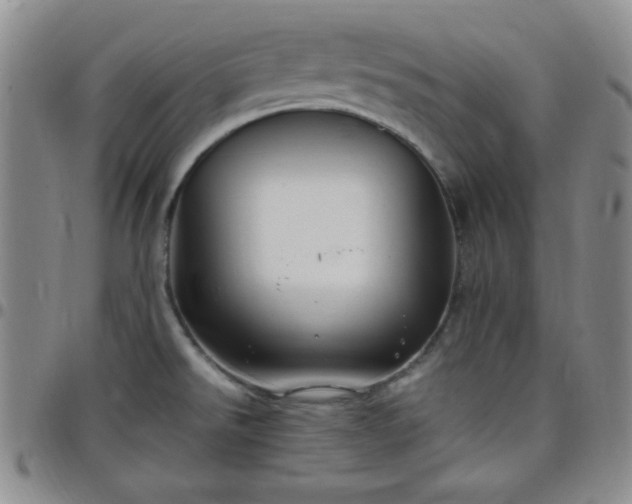 X0000099231526200805011126