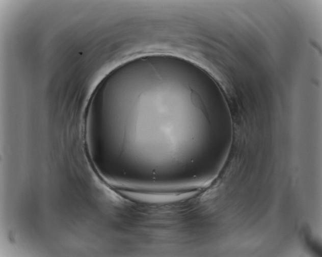 X0000099231527200805011126