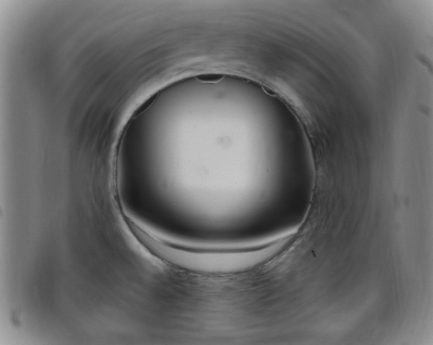 X0000099231528200805011126