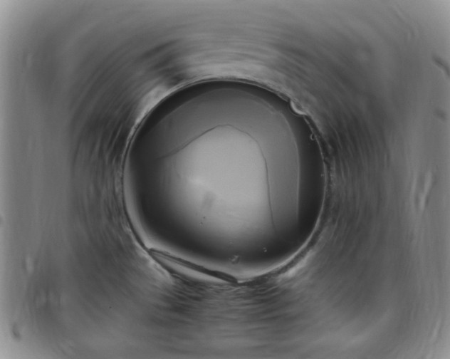 X0000099231529200805011126